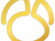 Navicat Premium icon