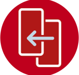 Veritas System Recovery icon