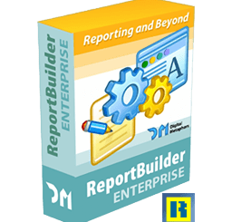 ReportBuilder icon