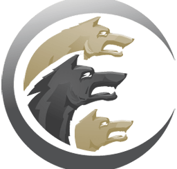 Cerberus FTP Server icon