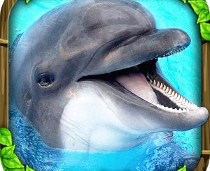 Dolphin Simulator