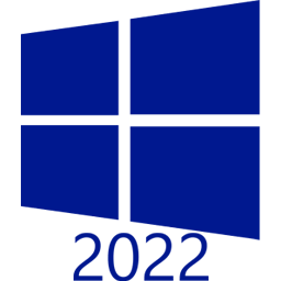 Windows Server 2022 icon