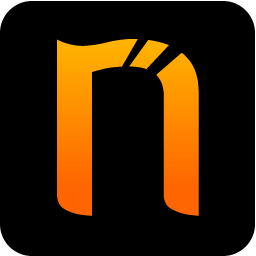 Netsparker icon