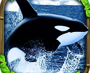 Orca Simulator