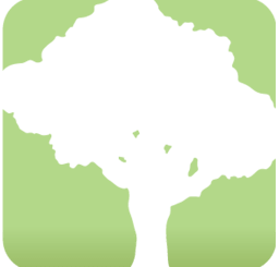 SpeedTree icon