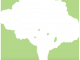 SpeedTree icon