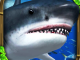 Wildlife Simulator Shark