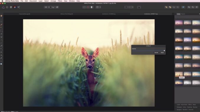 Affinity Photo